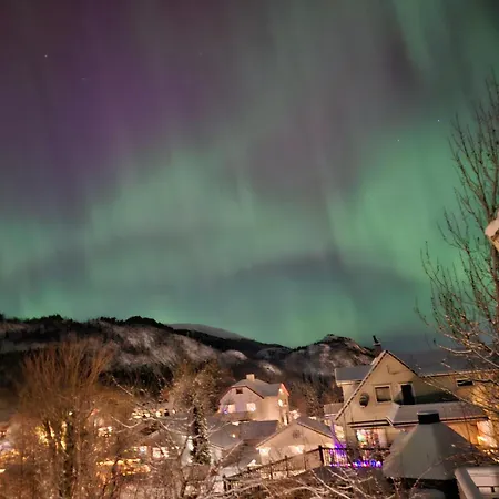 Nature View In Espeland ברגן